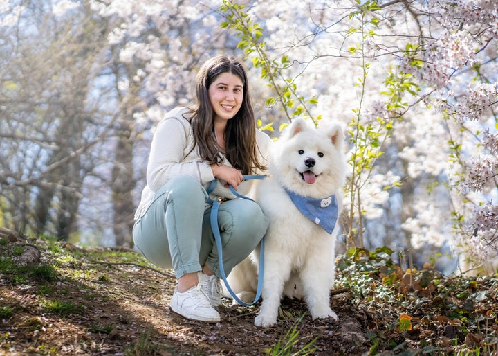 Cloud Wide Hands-Free Convertible Leash