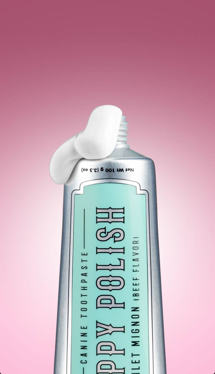 Wag & Bright Puppy Polish Toothpaste 100g