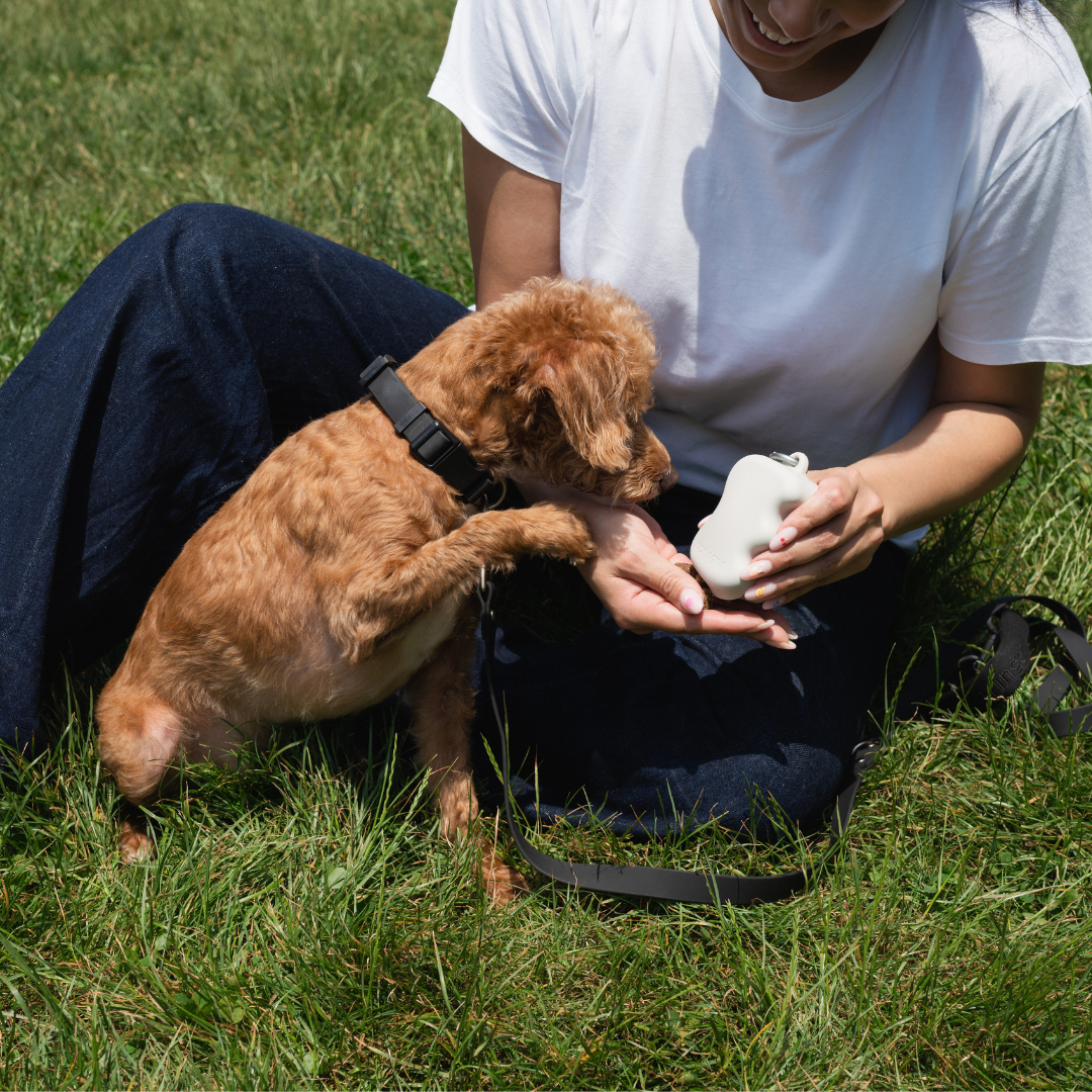 Squeeze Silicone Dog Treat Dispenser