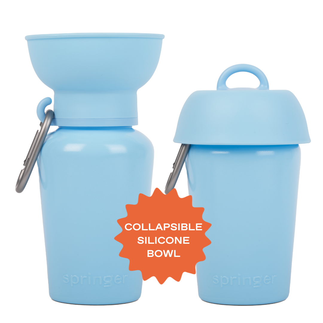 Flip Travel Water Bottle (20 oz)
