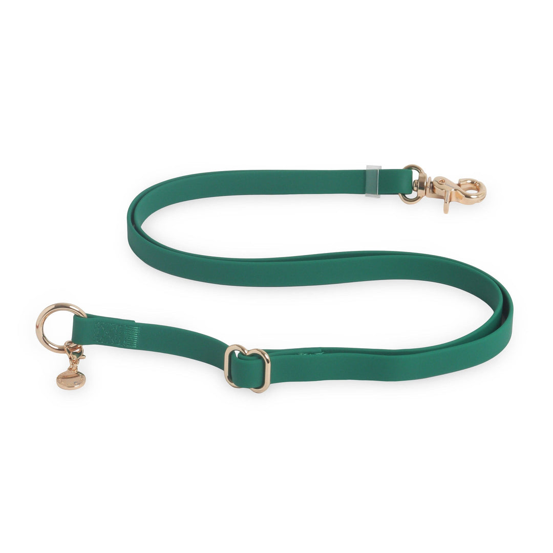 Cloud Leash 4-Way Extension