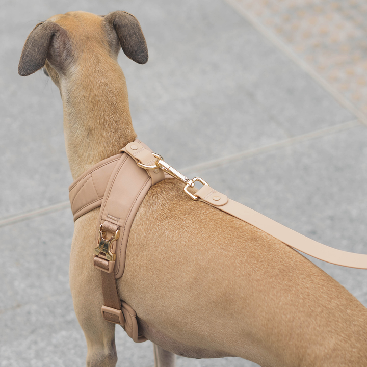 Roam Luxe Harness