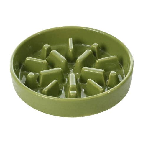 Spark Slow Feeder Dog Bowl