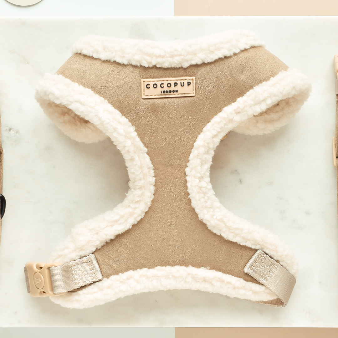 Aviator Adjustable Neck Harness