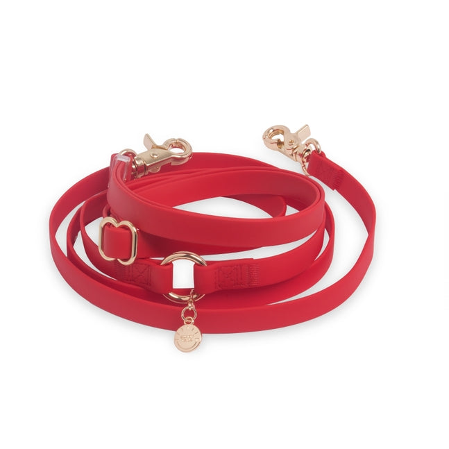 Cloud Hands-Free Convertible Leash