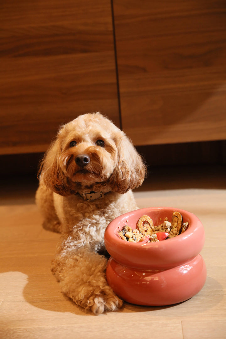 Soufflé Pet Bowl