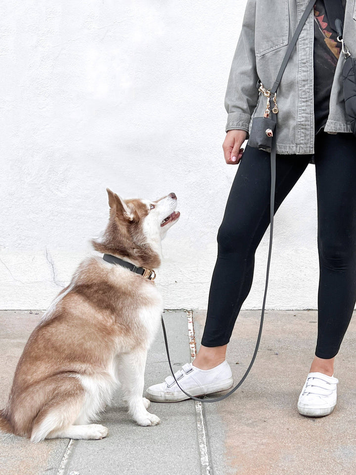 Cloud Hands-Free Convertible Leash