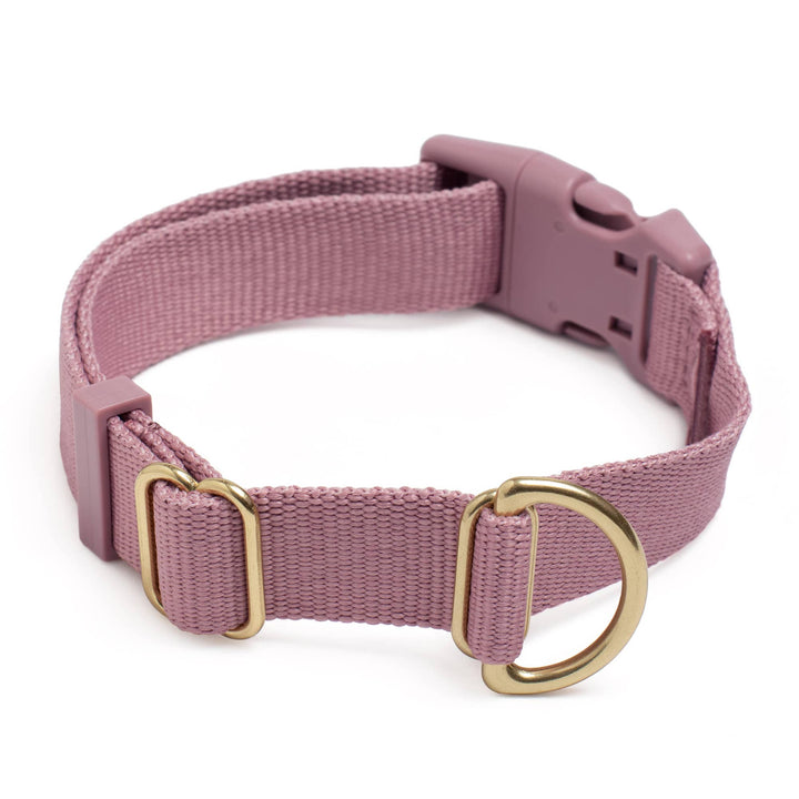 Pack Collar