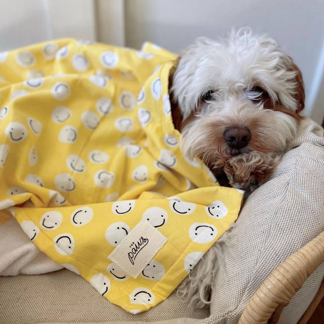Pet Towel