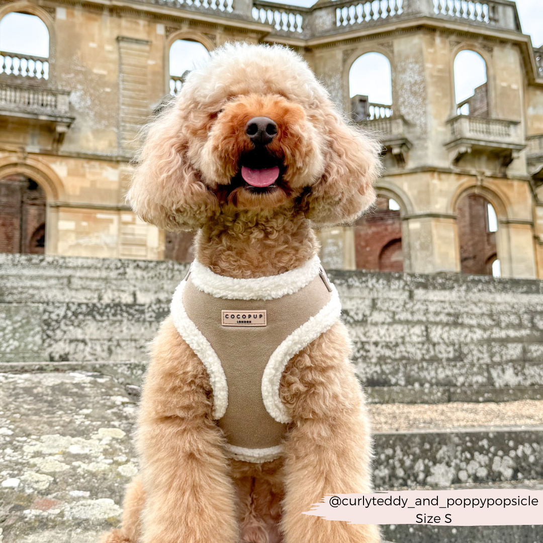 Aviator Adjustable Neck Harness