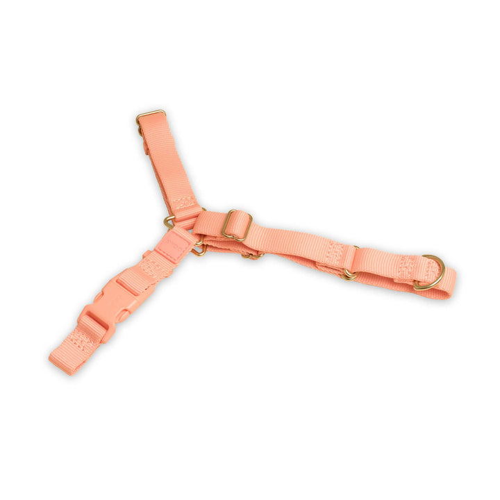 Roam Harness