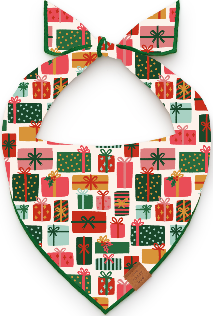 Rifle Paper Co. x TFD Holiday Gifts Bandana
