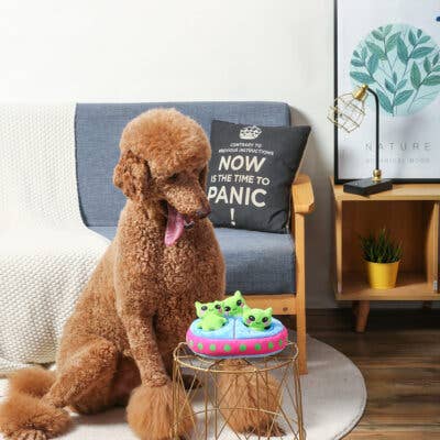 Space Paws Aliens - Interactive Toy