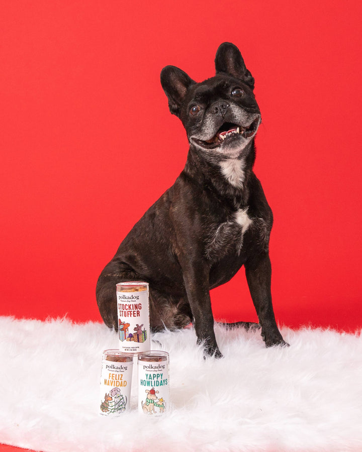 Feliz Navidad - Holiday Dog Treats