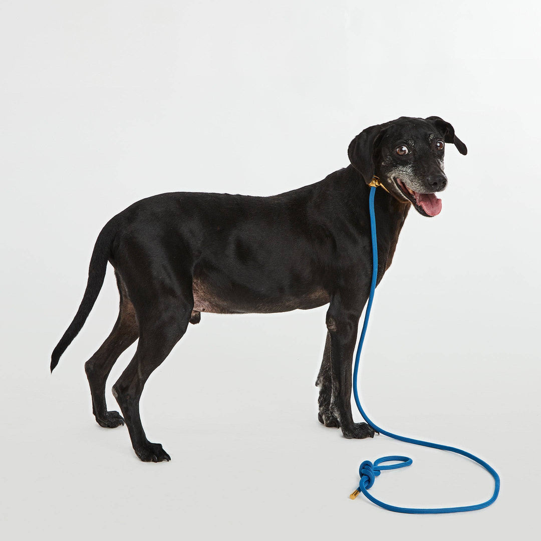 Mini Blue Sapphire Simple Slip Lead™