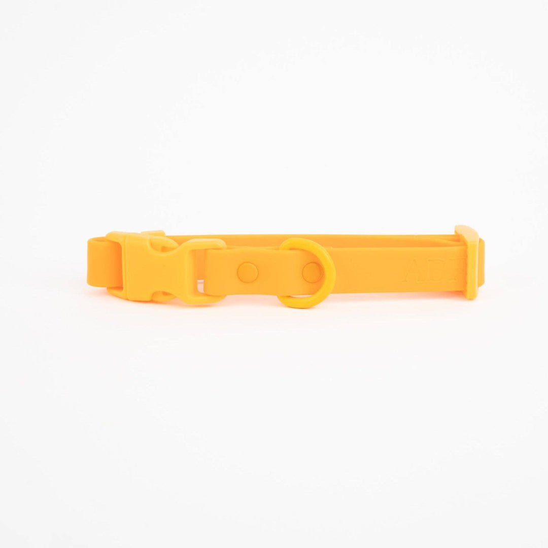 The Fritz Dog Collar