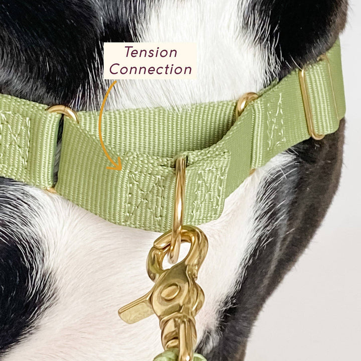 Roam Harness