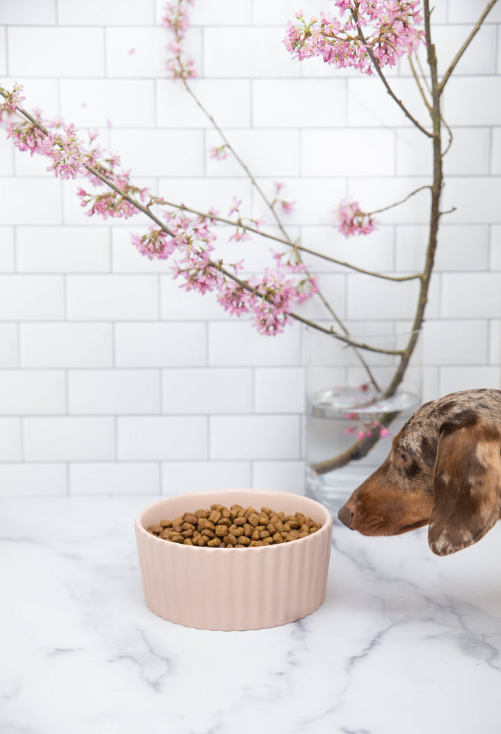 Ripple Dog Bowl