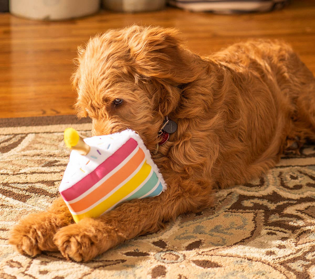 ThoozyPet Birthday Cake Plush Dog Toy