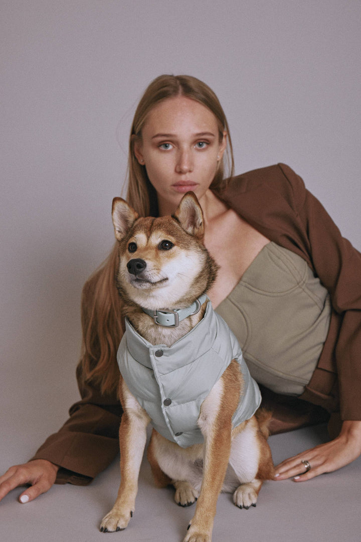 Sub Zero Waterproof Puffer Jacket for Dogs