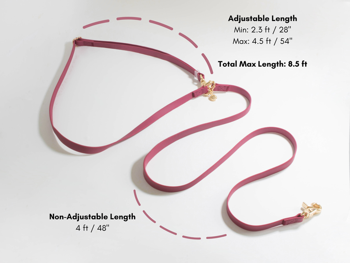 Cloud Hands-Free Convertible Leash