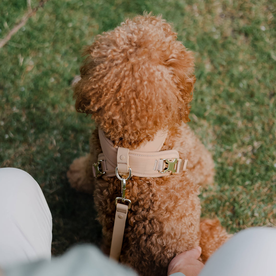 Roam Luxe Harness