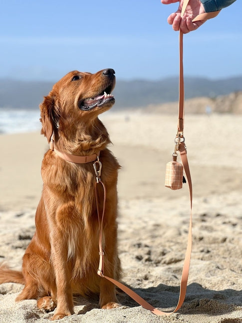 Cloud Wide Hands-Free Convertible Leash