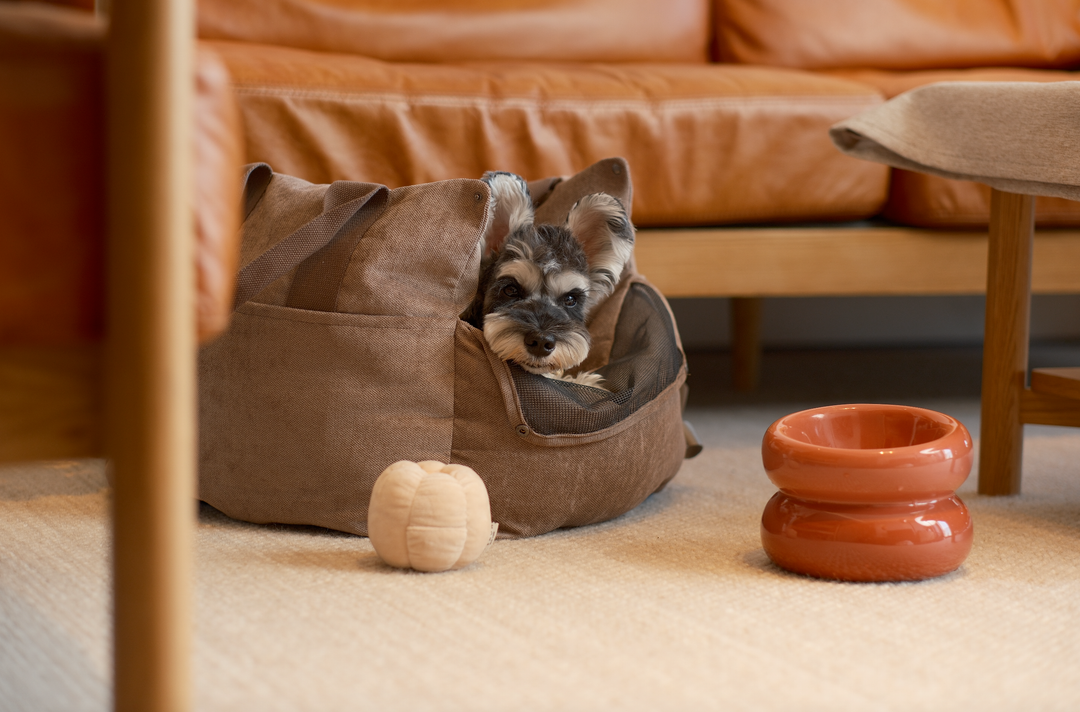Soufflé Pet Bowl
