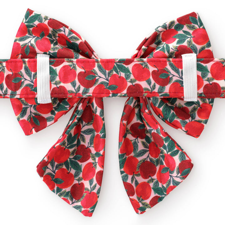 Apple of My Eye Fall Lady Dog Bow