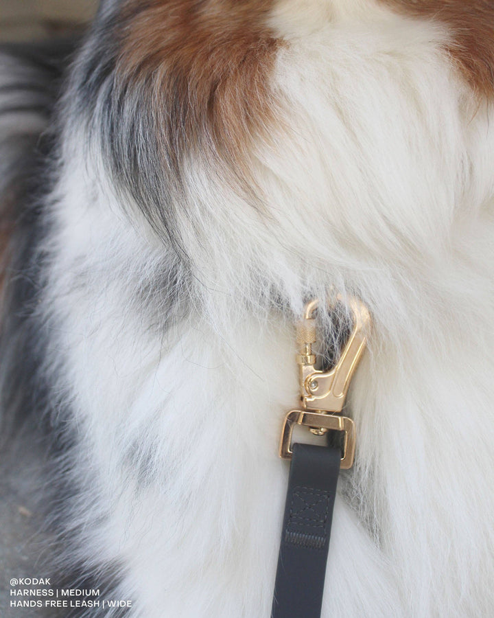Cloud Wide Hands-Free Convertible Leash