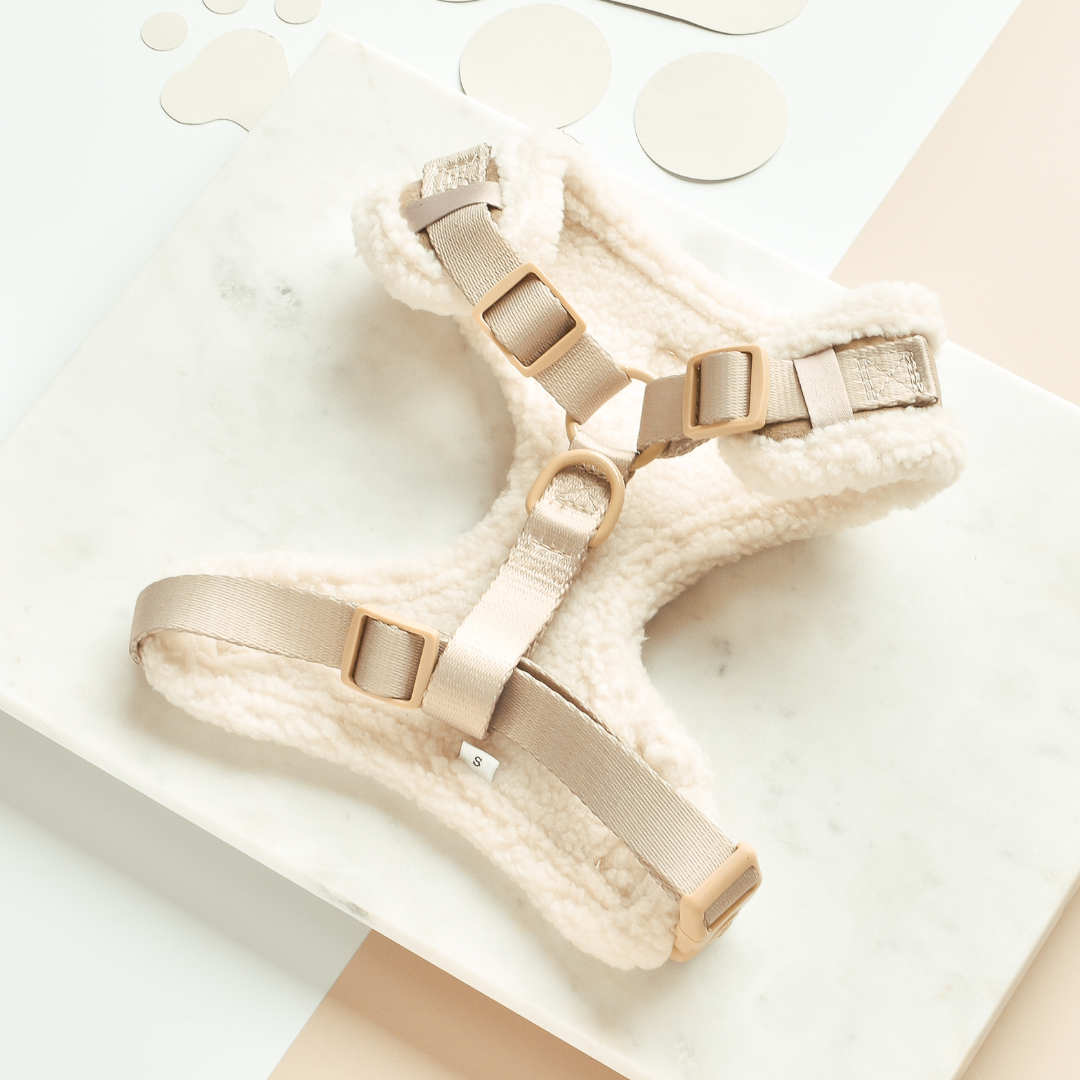 Aviator Adjustable Neck Harness
