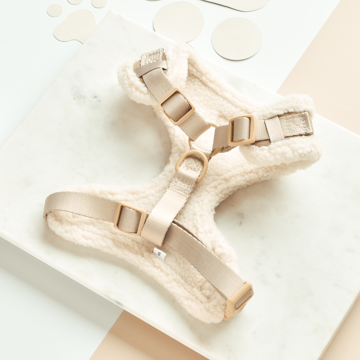 Aviator Adjustable Neck Harness