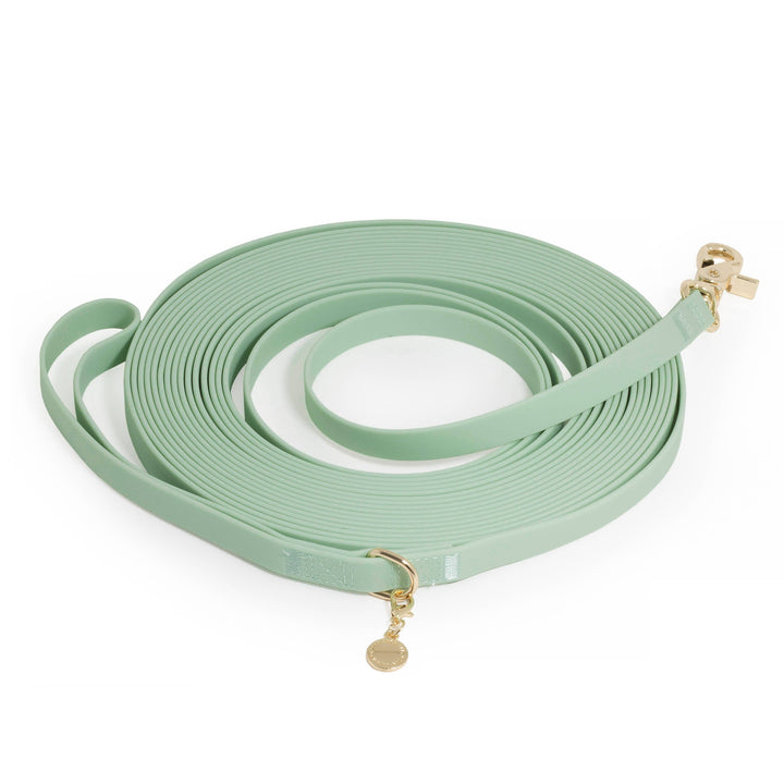 Cloud Waterproof Long Line Leash (30 ft)