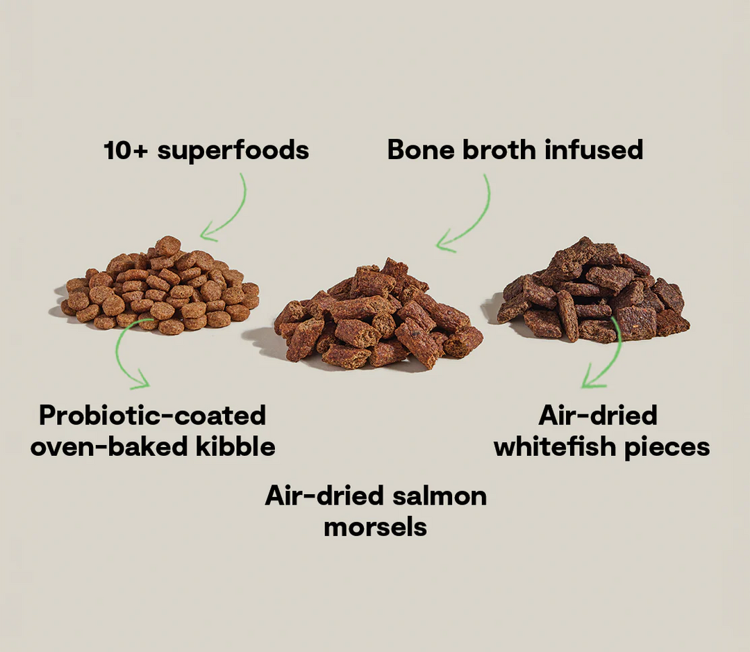 Epic Blend Dry Dog Food
