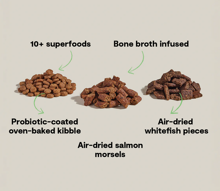 Epic Blend Dry Dog Food