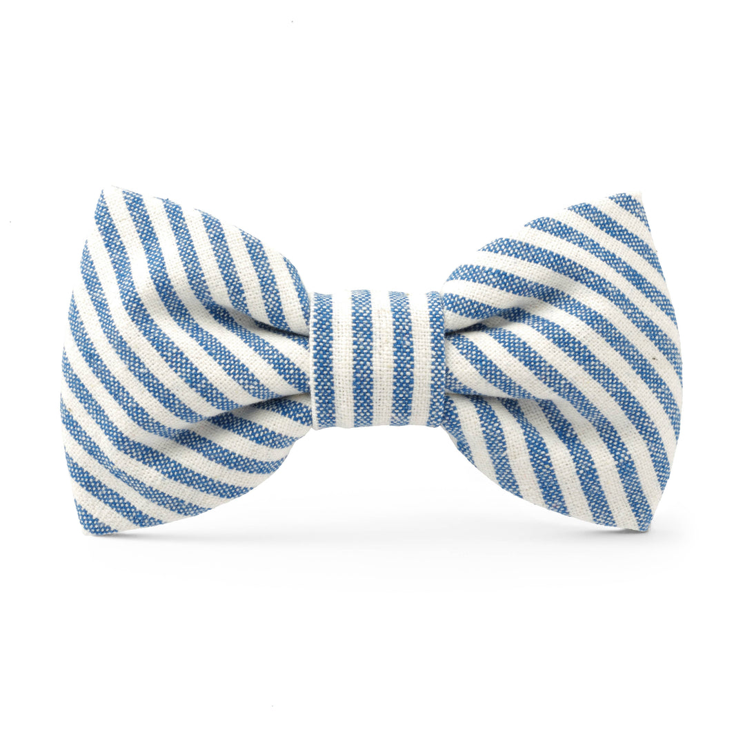 Dog Bow Tie