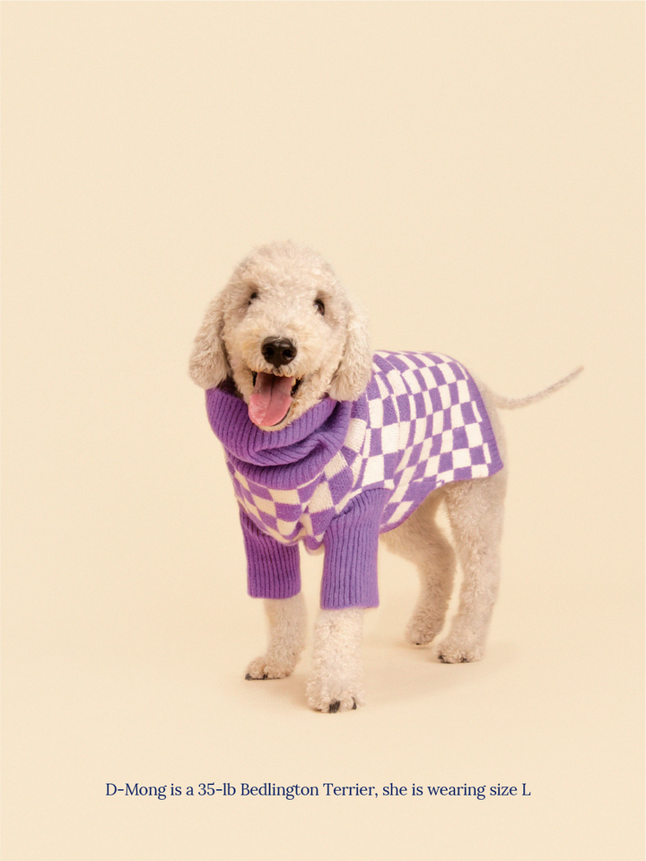 Meet the Parents X Wray Sweater