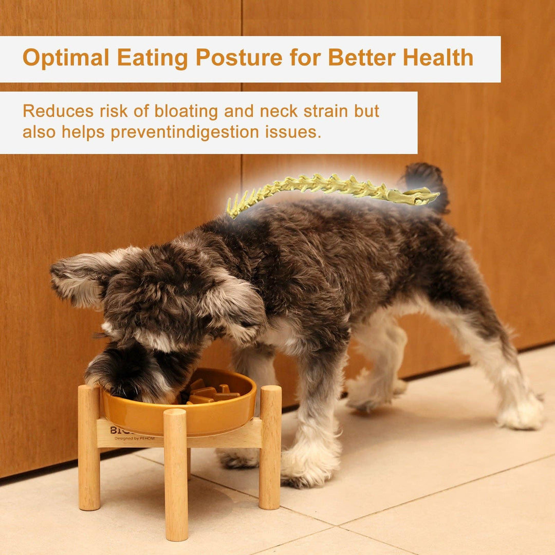 Spark Slow Feeder Dog Bowl