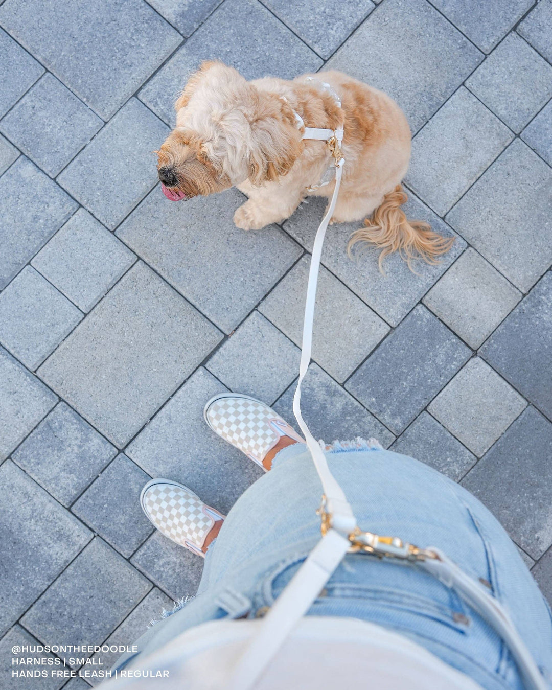 Cloud Hands-Free Convertible Leash