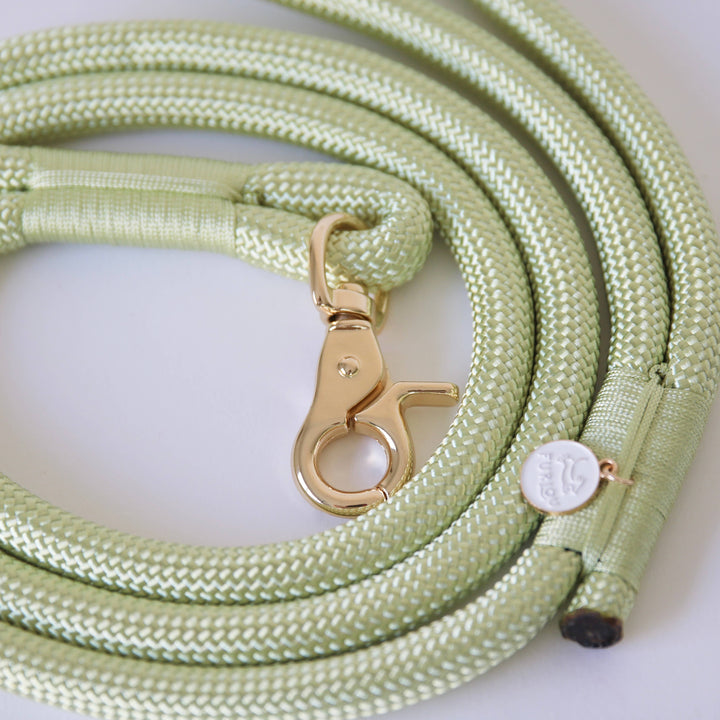 Hands-Free Convertible Rope Leash