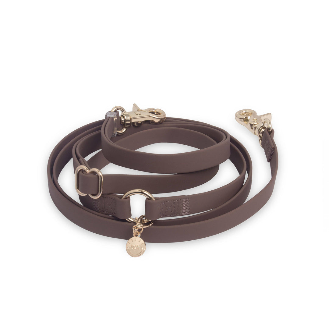 Cloud Hands-Free Convertible Leash