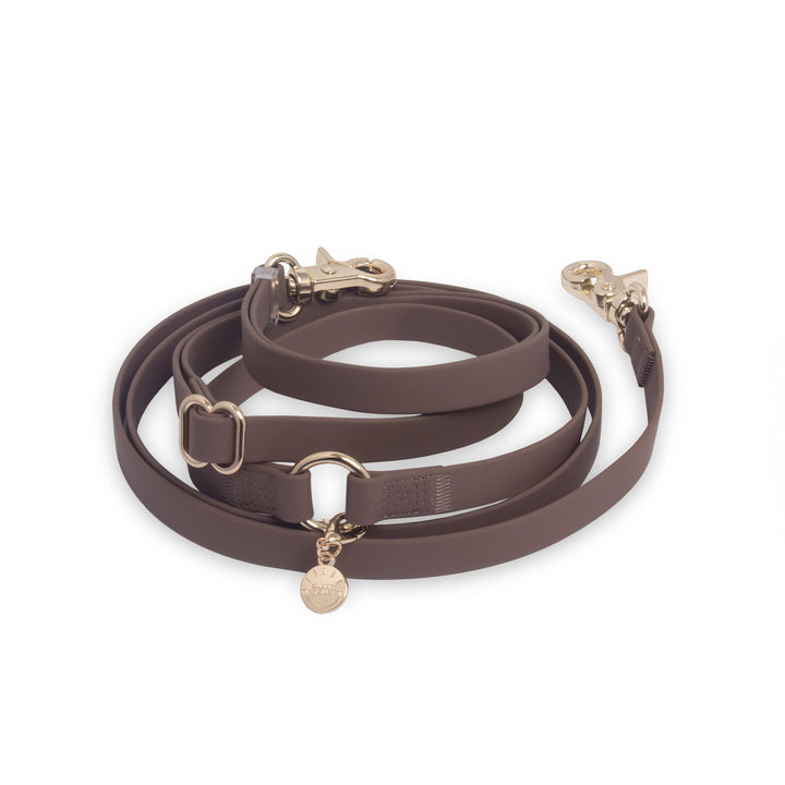 Cloud Hands-Free Convertible Leash