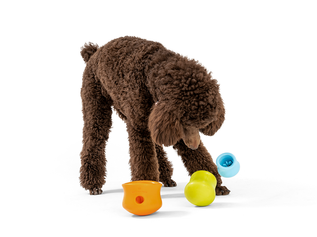 Toppl® - Puzzle Toy