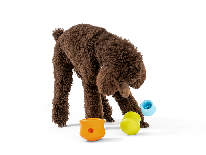 Toppl® - Puzzle Toy