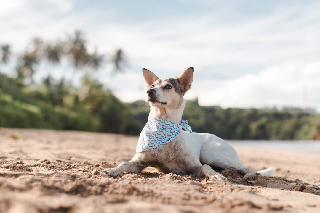 Sea Waves Bandana