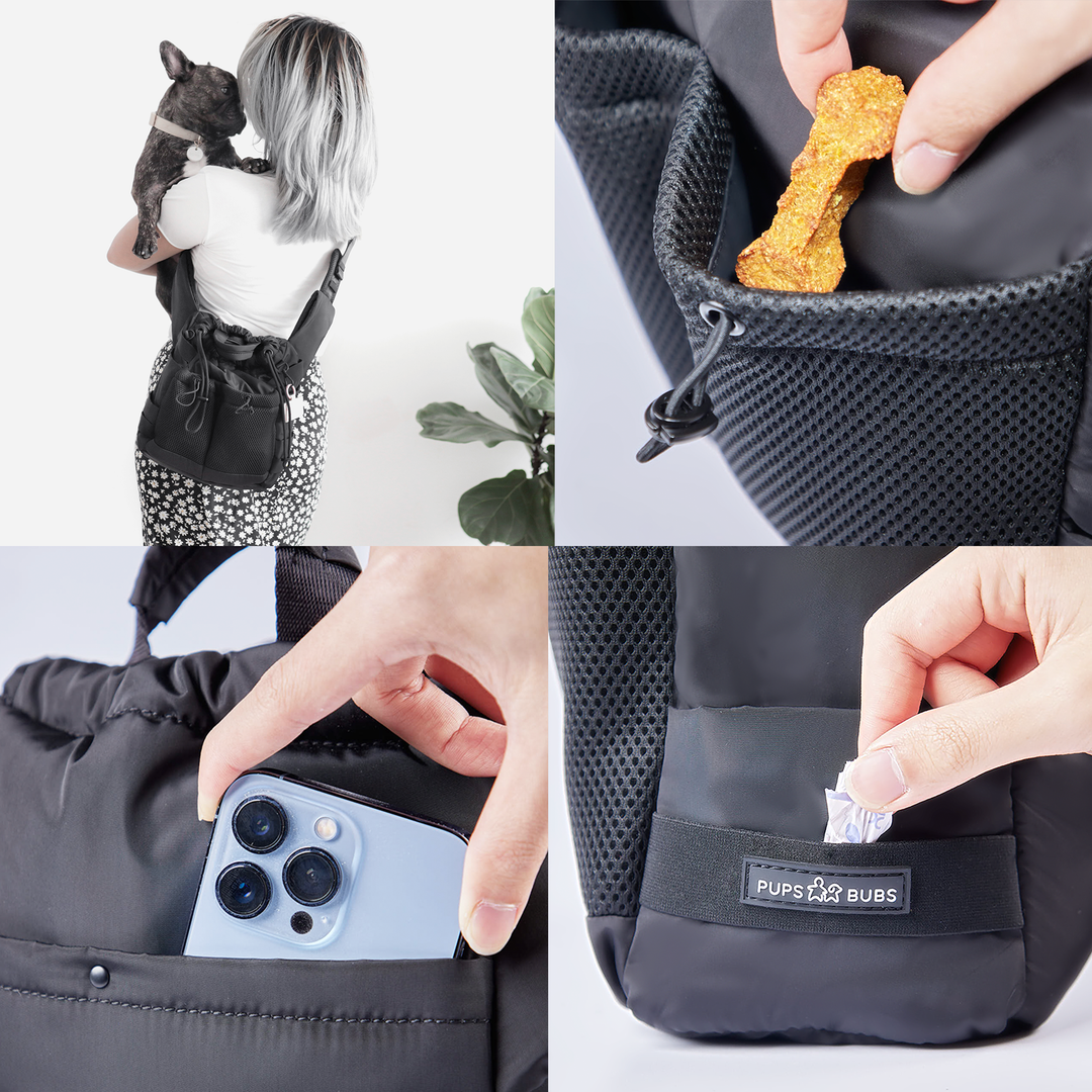 Everyday Dog Walking Bag & Treat Pouch