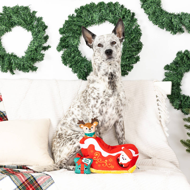 HOLD ON FOR DEER LIFE HIDE & SEEK PLUSH DOG TOY SET