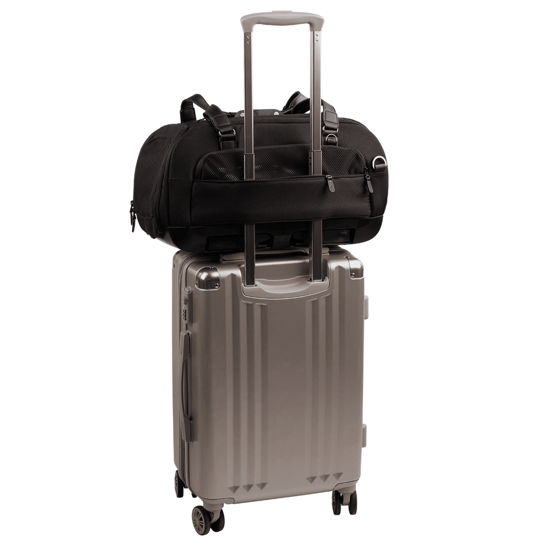 Dupree + Roscoe - Crash Tested Pet Travel System