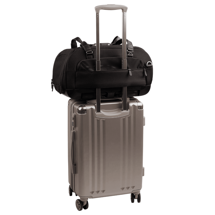 Dupree + Roscoe - Crash Tested Pet Travel System