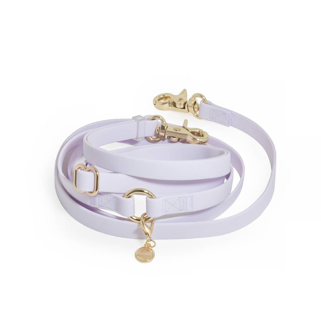 Cloud Hands-Free Convertible Leash
